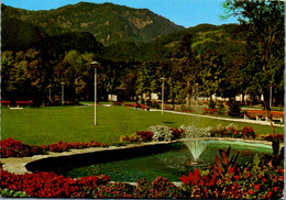 13753 - Oberösterreich - Bad Goisern , Kurpark Gegen Kalm Berg , Brunnen , Springbrunnen - Gelaufen 1980 - Bad Goisern