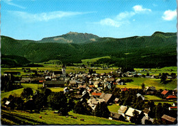 13756 - Steiermark - Bad Mitterndorf Mit Kamm , Panorama - Gelaufen 1972 - Bad Mitterndorf