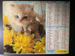 CALENDRIER - ALMANACH Du FACTEUR 1994  - SEINE ET MARNE - CHATS Et CHIENS - Grand Format : 1991-00