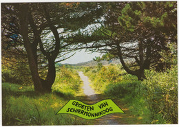 Groeten Van Schiermonnikoog -  Schelpenpad, Naaldbomen - (Nederland/Holland) - Nr. 621 - Schiermonnikoog