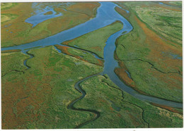 De Waddenzee - Een Uniek Natuurgebied: Slenken Op Het Wad - (Nederland/Holland) - Foto: Aerophoto Eelde, Herman Conens - Andere & Zonder Classificatie