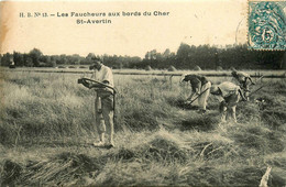 St Avertin * Les Faucheurs Aux Bords Du Cher * Travail Aux Champs * Fenaison Agriculture - Saint-Avertin