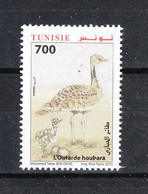 Tunisia   -   2015 .  Otarda. Bustard - Hoendervogels & Fazanten