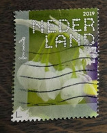 Nederland - NVPH - Xxxx - 2019 - Gebruikt - Beleef De Natuur - Armbloemig Look - Used Stamps