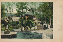 Limon Parque Hand Colored Undivided Back Paynter Bros Band Stand Kiosque Musique Fountain With Stork - Costa Rica