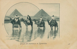 Cairo Groupe Chameaux Pyramides   Camel Dromadaire Undivided Back - Piramidi