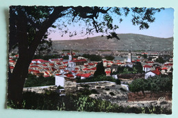 Draguignan Vue A Travers Les Oliviers 1955 - Draguignan