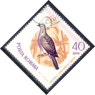 RUMÄNIEN 1965 Vögel - 40 B. Turteltaube Gest. Kab.-Stück, ABART: Mit Druck Eines Violetten Randes Durch Und Oberhalb Des - Abarten Und Kuriositäten