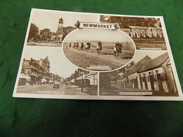 VINTAGE CAMBRIDGESHIRE: NEWMARKET Multi View Sepia Horse Racing - Altri & Non Classificati