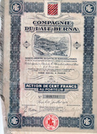 COMPAGNIE DU LAIT BERNA  -ACTION DE CENT FRANCS - ANNEE 1925 - Agricultura