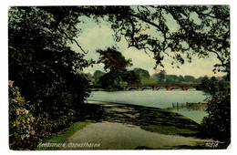 Ref 1492 - 1911 Postcard - Reedsmere Capesthorne Cheshire - Alderley Chelford Postmark - Other & Unclassified