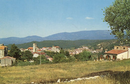 MONTAUROUX VUE GENERALE 1972 - Montauroux