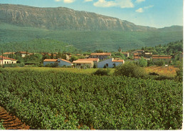 NANS LES PINS VUE GENERALE ET LA CHAINE SAINTE BAUME 1980 - Nans-les-Pins