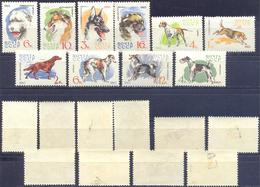 1965. USSR/Russia, Hunting And Service Dogs, 10v, Mint/** - Unused Stamps