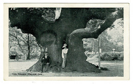 Ref 1493 - Early Postcard - The Major Oak Trunk Edwinstowe Sherwood Forest Nottinghamshire - Otros & Sin Clasificación