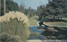 CARTOLINA  ANAHEIM,CALIFORNIA,STATI UNITI,LILY POND IN CITY PARK,NON VIAGGIATA - Anaheim