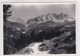 Schiers Stels, Kunstphoto Mischol, Bergweg,10 X 15 Cm - Schiers