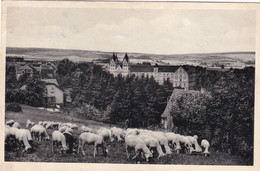 Allemagne, Hunfeld, Teilansicht Mit Kloster - Hünfeld