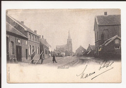 Hulshout 1903 Met Houtenkar En Zakken Koren - Hulshout