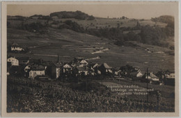 Vignoble Vaudois - Rebberge Im Waadtland Vigneto Vodese - Landwirtschaftliche Ausstellung In Bern 1925 - Le Vaud