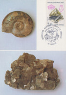 Carte   FRANCE  Association  Nantaise  Pierres Et  Fossiles   NANTES    1987 - Minerals