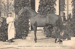 78 - LE PERRAY - Le Haras Du Perray Pur Sang "Saint-Damien" Par Saint-Simon - Le Perray En Yvelines