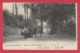 Schaerbeek - Dans La Vallée Josaphat - Attelages Tiré Par Un Un Chien / Honderkaar - 190? ( Voir Verso ) - Schaerbeek - Schaarbeek