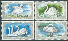 MONGOLIE - Le Cygne - Cygnes