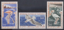 8 Mauritania Mauritanie 1961 Birds Oiseaux Aves 3v Mnh Nsc - Unclassified