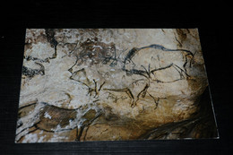 31630-                          GROTTE DE NIAUX . ART PALEOLITHIQUE . EPOQUE MAGDALENIENNNE . BISONS ET BOUQUETIN - Other & Unclassified