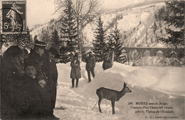 Morez * Sous La Neige * Capture D'un Chevreuil Vivant Près Le Viaduc De L'évalude * Chasse - Morez