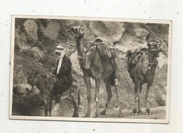 Cp , Carte Photo,LIBAN ,métier ,CHAMELIER ,âne , Vierge , Tirage Gevaert - Libano