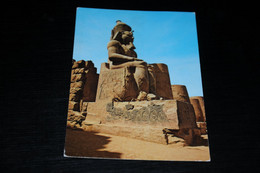 31659-                       EGYPT, LUXOR, STATUE RAMSES II - Luxor