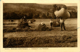 Jura * Scène Comtoise * La Moisson Du Regain * Travail Aux Champs * Fenaison - Autres & Non Classés