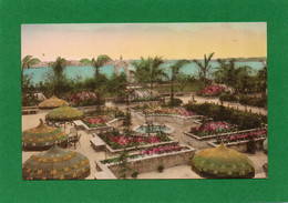 Floride The Ambassador,Terrace Gardens Handcolored Albertype CPA  Année 1930  état Impeccable - Palm Beach