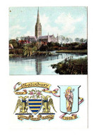 13410 " SALISBURY HERALDIC EMBLEM AND CATHEDRAL " -CARTOLINA POST. NON SPED. - Salisbury