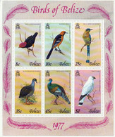 BELIZE - Faune, Oiseaux - Y&T BF 2  - 1977 - MNH - Belize (1973-...)