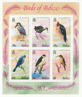 BELIZE - Faune, Oiseaux - Y&T BF 5 - 1979 - MNH - Belize (1973-...)