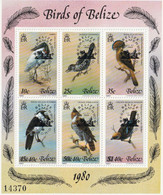 BELIZE - Faune, Oiseaux - Y&T BF 15 - 1980 - MNH - Belize (1973-...)