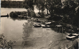 ESSONNE - 91 - VIRY-CHATILLON - UN COIN DE PECHE - Viry-Châtillon