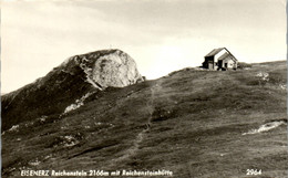 14832 - Steiermark - Eisenerz , Reichenstein Mit Reichensteinhütte - Gelaufen 1968 - Eisenerz