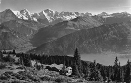 Beatenberg Alp Burgfeld Mit Jungfraukette - Beatenberg