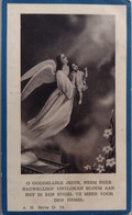 Julia Maria Leonia Jordens-zoutleeuw 1933-1935 - Devotion Images