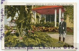 - 449 - PANAMA - Showing Beautiful Ferms, Jardin De Balboa, Zona Del Canal, Trés épaisse, , TTBE, Non écrite, Scans. - Panamá