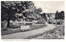 Bad Hermannsborn - Partie Am Schwanenteich - Old Postcard - 1957 - Germany - Unused - Bad Driburg