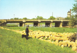 Eilenburg - Torgauer Brucke - Sheep - Animals - Bridge - Germany DDR - Used - Eilenburg