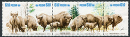POLAND 1981 European Bison MNH / **.  Michel 2764-68 - Nuevos