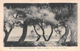 FONTVIEILLE-en-PROVENCE - Moulin D'Alphonse Daudet - Vue De L'Allée Des Pins - Fontvieille