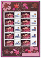 France 2005 Bloc F3804A Neuf "c'est Une Fille" Cote 200 Euros - Unused Stamps