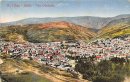 LIBAN- ZAHLE VUE GENERALE - Líbano